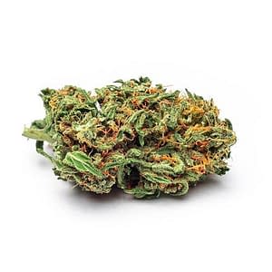 varietà cannabis legale marijuana strawberry